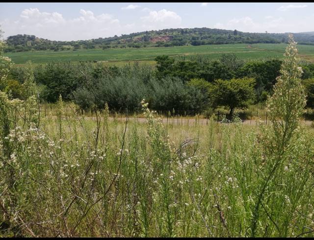 FARM SOLD IN NEWCASTLE RURAL